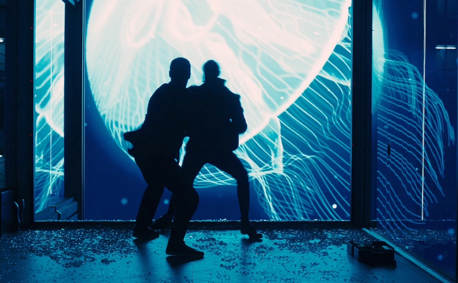 skyfall-jellyfish.jpg