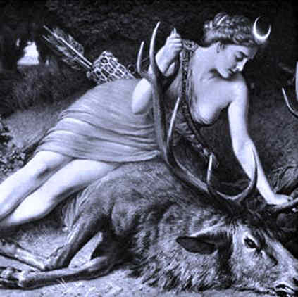diana-4.jpg