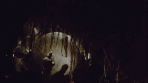 tumblr_nrwowh1cmT1s2wio8o1_500.gif