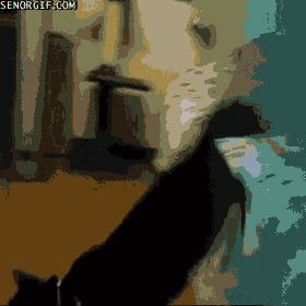 xschKqOMjUGqfWnutyFbZA2.gif