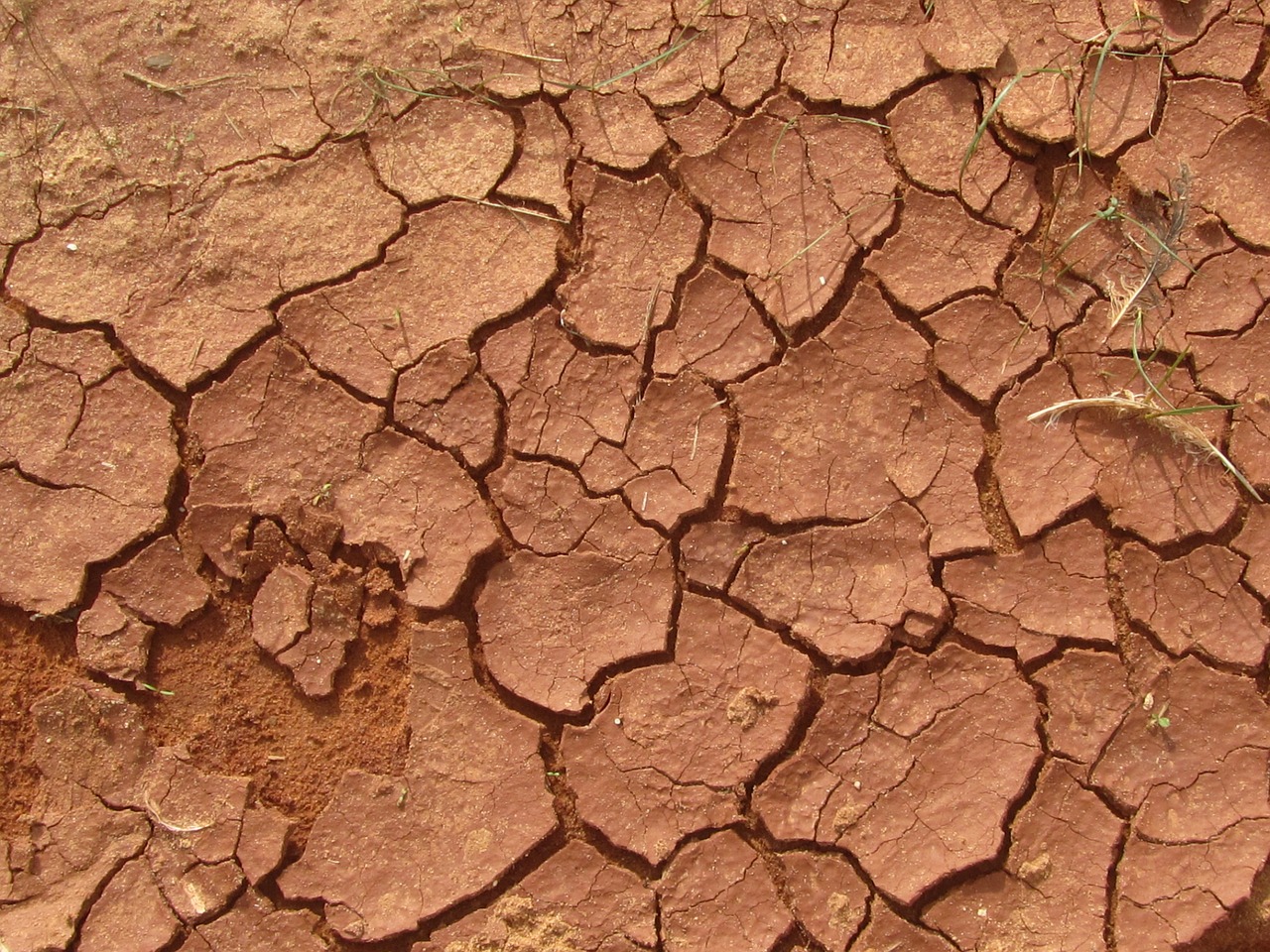 mud-1002978_1280.jpg