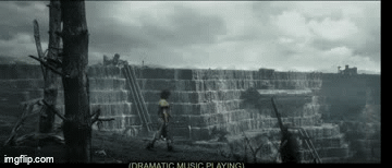 9rwf0g.gif
