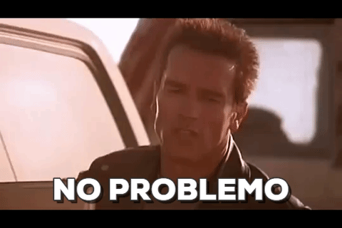 terminator-no-problemo.gif