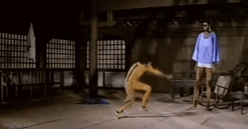 5r1hj3.gif