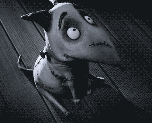 tumblr_m9bqpgU5sq1rd0p8io1_500.gif