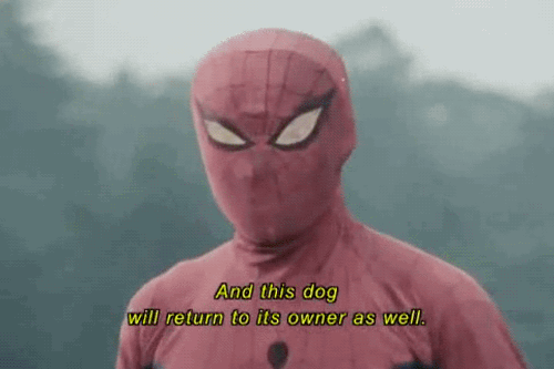 tumblr_odfxgypDPr1s2wio8o1_500.gif