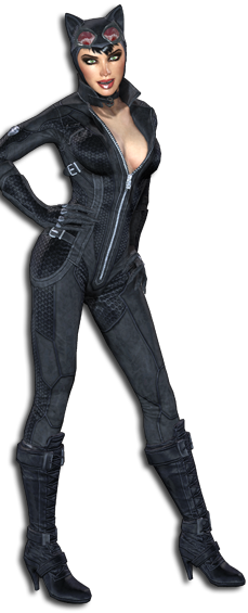Catwoman-batman-arkham-city-24417923-229-565.png