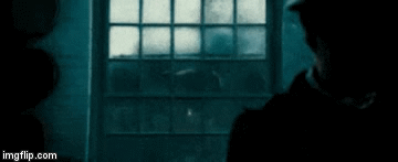 1wrlkz.gif