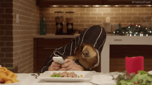 tumblr_ngp0e4Dz0q1s02vreo2_500.gif