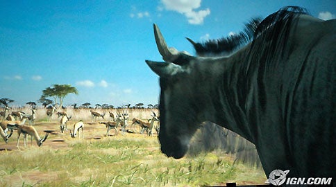 afrika-20060522033117447.jpg
