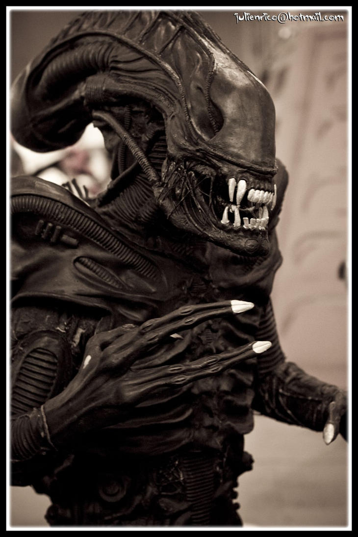 Japan_expo_2009_dimanche_by_findenenmacil.jpg