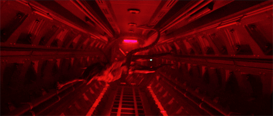 tumblr_om4hpobj9U1rrkahjo7_540.gif