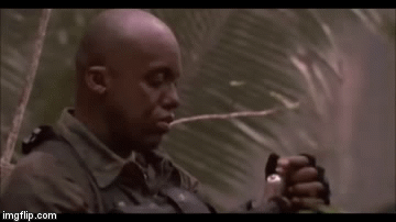 2tg0vz.gif
