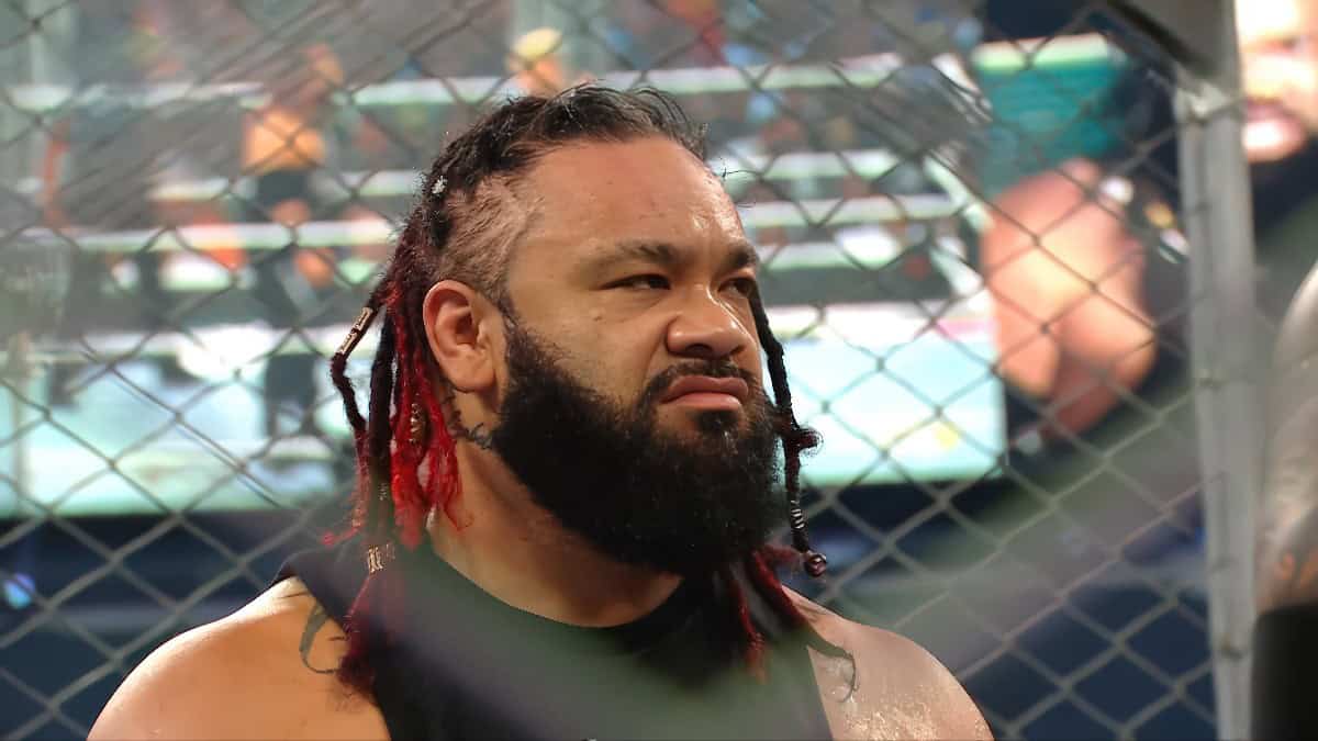 www.wrestleview.com