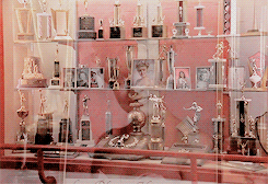 tumblr_ng1dbylO3h1qc58cto4_r1_250.gif