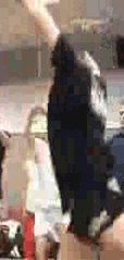 409802f5237204eedd291835b79b7888.gif