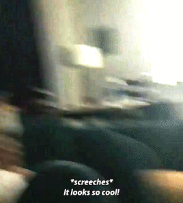 tumblr_oxqo8ciZQp1rertyro2_400.gif