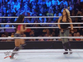 tumblr_n4rhra7Sbn1tarh34o1_400.gif