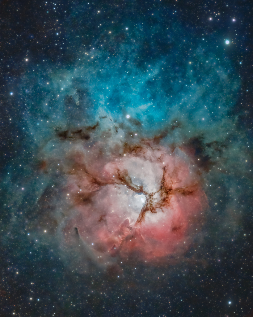 TrifidrecortesRGB1024.jpg