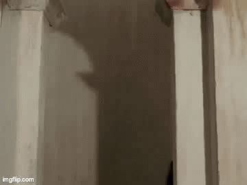 27121775a480a3b186af9f446daf7e7d.gif