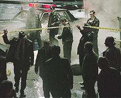 tumblr_n8t9i6hUAW1qb10wfo9_250.gif