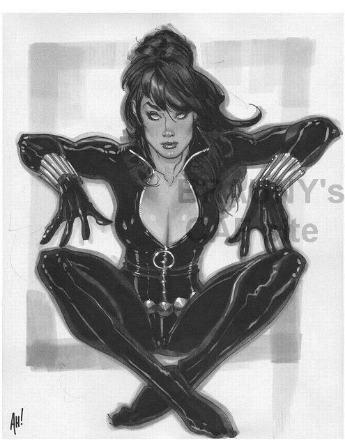 AH%202008%20Black%20Widow.JPG
