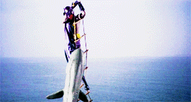 tumblr_nqlssrWEEH1rrkahjo2_400.gif