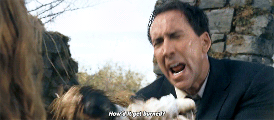 tumblr_owjaybvAEh1socz3go2_540.gif