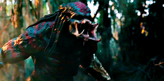 tumblr_paxz5rcMvI1x5540co5_540.gif