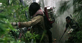 tumblr_oezn4wq9x11sdiuwlo10_r2_400.gif