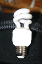 Fluorescent-Light-Bulb.gif
