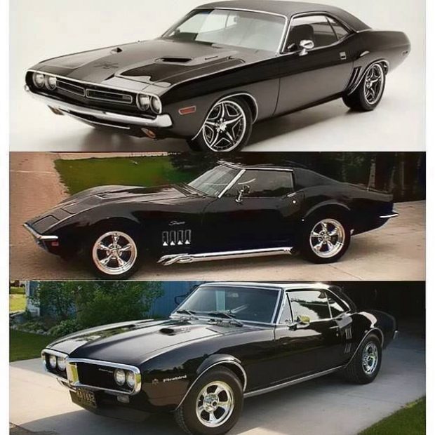 musclecars-trrhg3-620x620.jpg