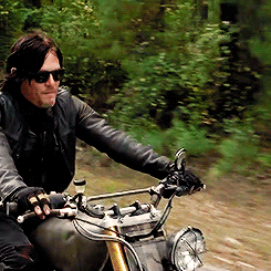 tumblr_nm0evggygo1rh6rw0o4_r2_250.gif