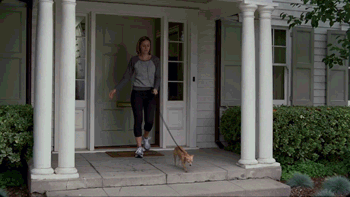 tumblr_nc1vs4B5pL1tcv20zo1_400.gif