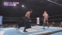 tumblr_mv5ml2xQOo1shsnaco5_250.gif