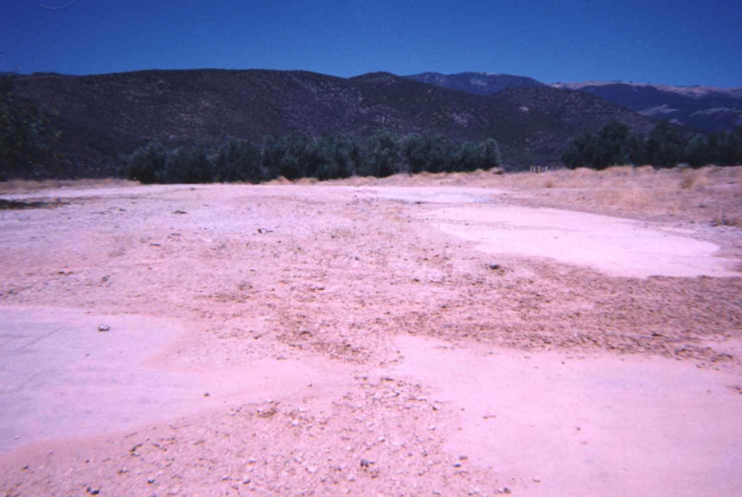 Concretepad9.JPG