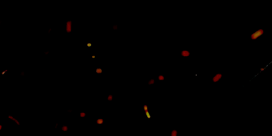 tumblr_osde3nBiPA1r9dm6no1_540.gif