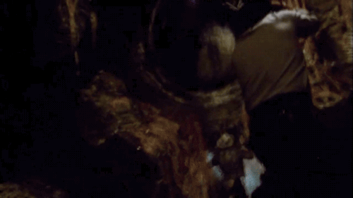 tumblr_nrwowh1cmT1s2wio8o3_500.gif