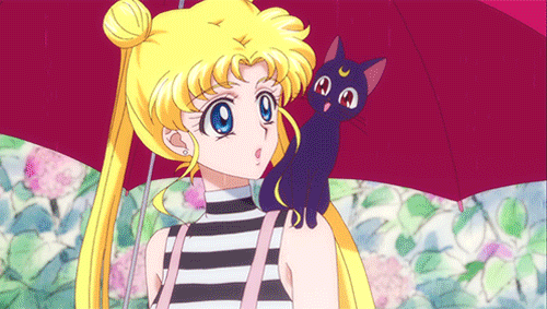 tumblr_n88j11xcbC1ts7zcto1_r1_500.gif