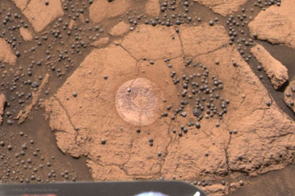 berrybowl_opportunity_960.jpg