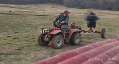 tumblr_n3nczv80nL1s2yegdo1_400.gif