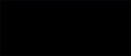 tumblr_nfretxcwYd1ru9kspo4_500.gif