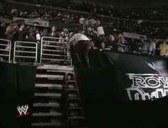 tumblr_n0svelaLvi1qaa8d1o6_250.gif