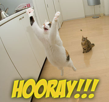 hooray.jpg