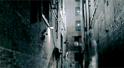 tumblr_nqyw2ymoI71rob81ao6_r1_250.gif