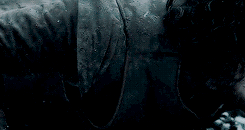 tumblr_np93x8WAty1s3ulybo1_250.gif