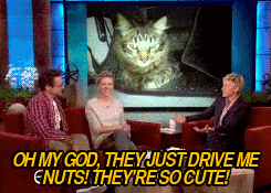 tumblr_m54c855J3q1qajc4eo4_r2_250.gif