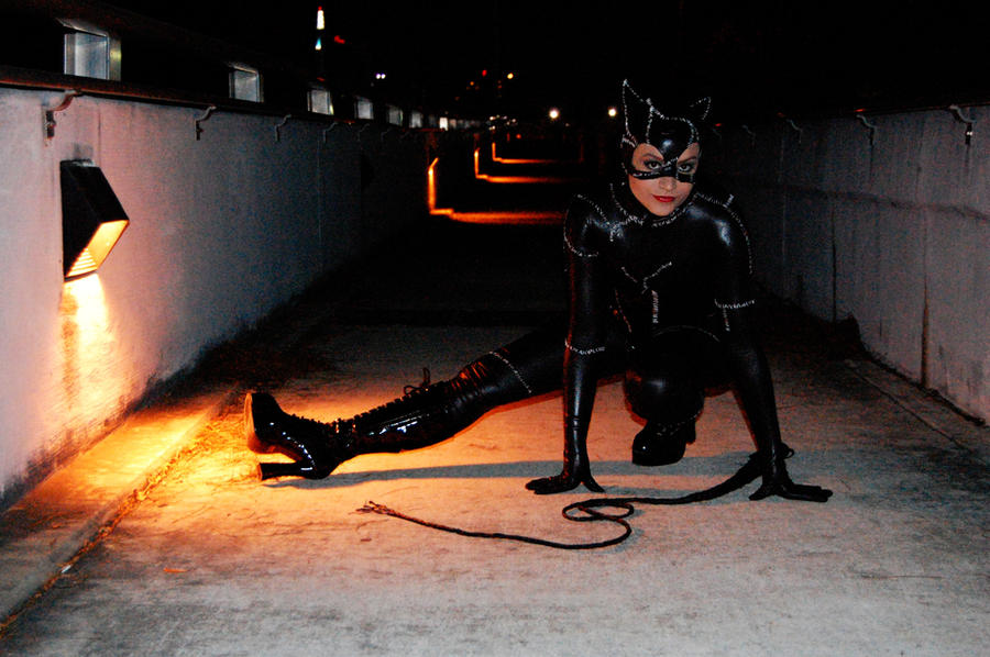 catwoman_by_themissingeyebrow-d3egqnh.jpg
