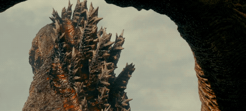 tumblr_onqvdkN8X11qaqx8xo1_500.gif