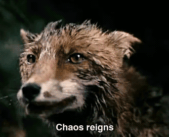 tumblr_lua5qhFgSU1r5uj94o1_400.gif
